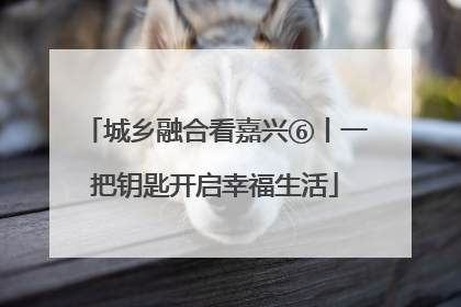 城乡融合看嘉兴⑥丨一把钥匙开启幸福生活