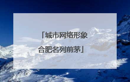 城市网络形象合肥名列前茅
