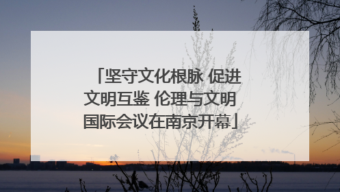 坚守文化根脉 促进文明互鉴 伦理与文明国际会议在南京开幕