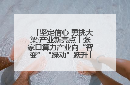 坚定信心 勇挑大梁·产业新亮点丨张家口算力产业向“智变”“绿动”跃升