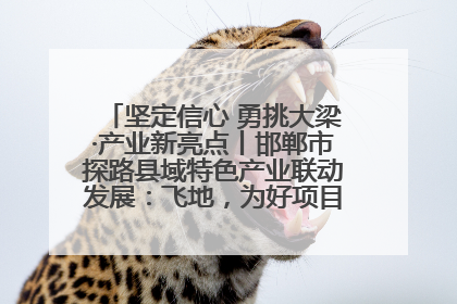 坚定信心 勇挑大梁·产业新亮点丨邯郸市探路县域特色产业联动发展：飞地，为好项目跨域安个家