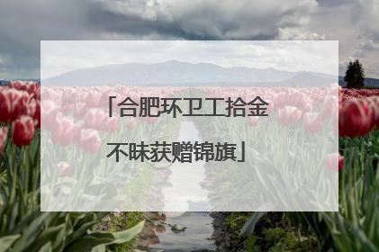 合肥环卫工拾金不昧获赠锦旗