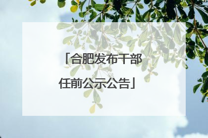 合肥发布干部任前公示公告