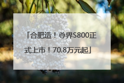 合肥造！尊界S800正式上市！70.8万元起