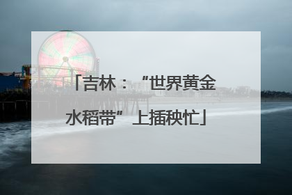 吉林：“世界黄金水稻带”上插秧忙
