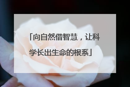 向自然借智慧，让科学长出生命的根系