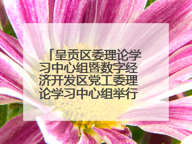 呈贡区委理论学习中心组暨数字经济开发区党工委理论学习中心组举行2025年第七次学习会议