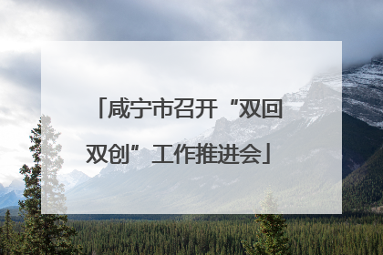 咸宁市召开“双回双创”工作推进会