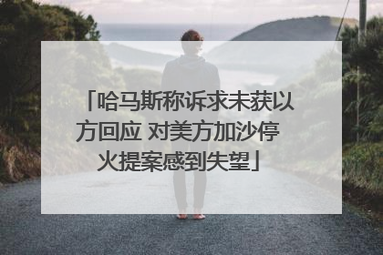哈马斯称诉求未获以方回应 对美方加沙停火提案感到失望