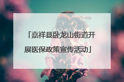 嘉祥县卧龙山街道开展医保政策宣传活动