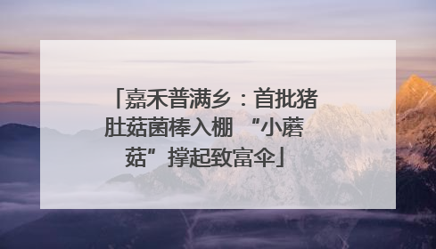 嘉禾普满乡：首批猪肚菇菌棒入棚 “小蘑菇”撑起致富伞