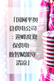 国网平舆县供电公司：迎峰度夏保供电  数智赋能守清凉