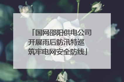 国网邵阳供电公司开展雨后防汛特巡 筑牢电网安全防线