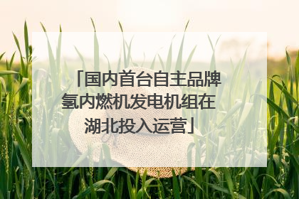 国内首台自主品牌氢内燃机发电机组在湖北投入运营