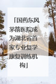 国药东风茅箭医院成为湖北省首家专业复学康复训练机构