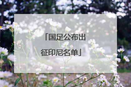 国足公布出征印尼名单
