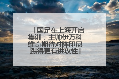 国足在上海开启集训，主帅伊万科维奇期待对阵印尼踢得更有进攻性