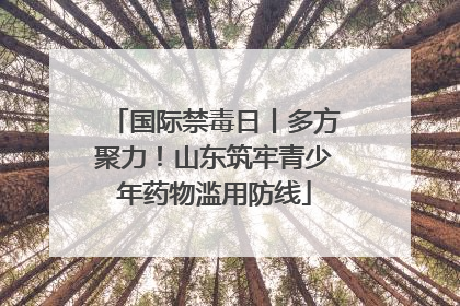 国际禁毒日丨多方聚力！山东筑牢青少年药物滥用防线
