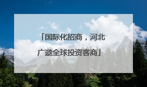 国际化招商，河北广邀全球投资客商