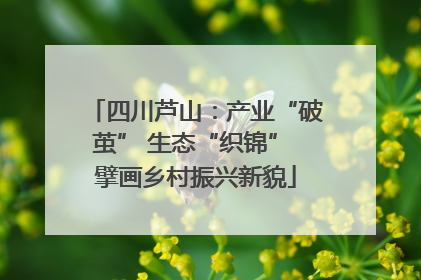 四川芦山：产业“破茧” 生态“织锦” 擘画乡村振兴新貌