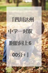 四川达州中学一对双胞胎同上600分+