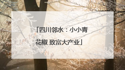 四川邻水：小小青花椒 致富大产业