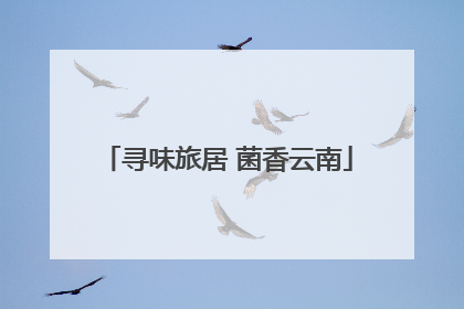 寻味旅居 菌香云南