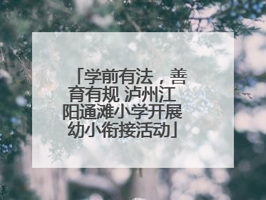 学前有法，善育有规 泸州江阳通滩小学开展幼小衔接活动