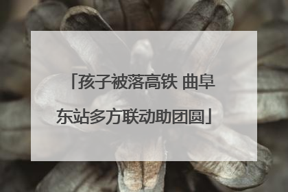 孩子被落高铁 曲阜东站多方联动助团圆