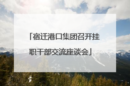 宿迁港口集团召开挂职干部交流座谈会