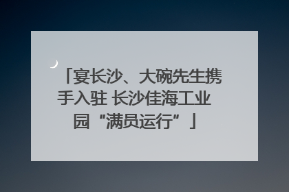 宴长沙、大碗先生携手入驻 长沙佳海工业园“满员运行”