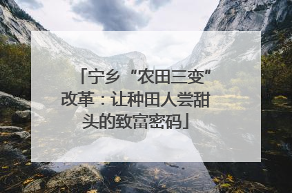 宁乡“农田三变”改革：让种田人尝甜头的致富密码