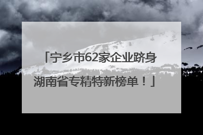 宁乡市62家企业跻身湖南省专精特新榜单！