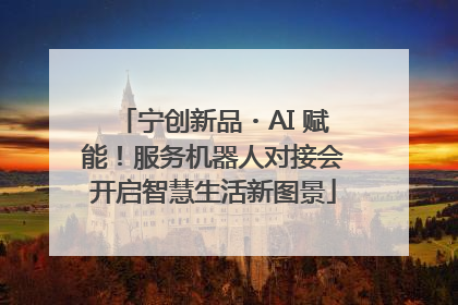 宁创新品・AI 赋能！服务机器人对接会开启智慧生活新图景