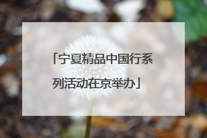 宁夏精品中国行系列活动在京举办