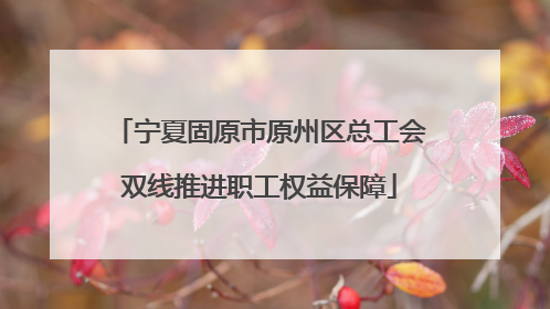 宁夏固原市原州区总工会双线推进职工权益保障