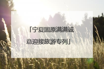 宁夏固原满满诚意迎接旅游专列
