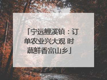 宁远鲤溪镇：订单农业兴大观 时蔬鲜香富山乡