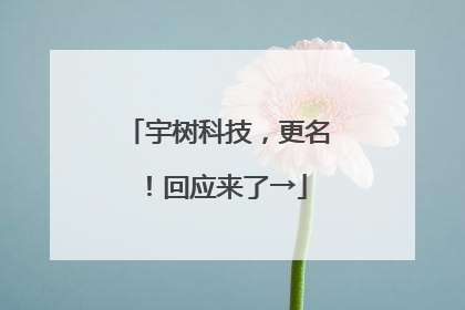 宇树科技，更名！回应来了→