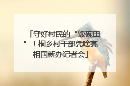 守好村民的“饭碗田”！桐乡村干部凭啥亮相国新办记者会
