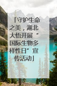 守护生命之美，湖北大悟开展“国际生物多样性日”宣传活动