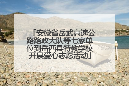 安徽省岳武高速公路路政大队等七家单位到岳西县特教学校开展爱心志愿活动