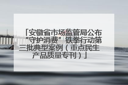 安徽省市场监管局公布“守护消费”铁拳行动第三批典型案例（重点民生产品质量专刊）