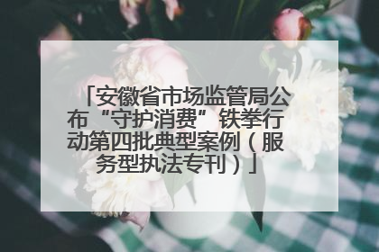安徽省市场监管局公布“守护消费”铁拳行动第四批典型案例（服务型执法专刊）