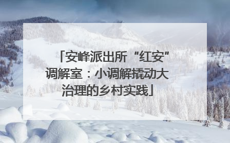 安峰派出所“红安”调解室：小调解撬动大治理的乡村实践