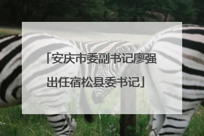 安庆市委副书记廖强出任宿松县委书记