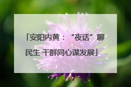 安阳内黄：“夜话”聊民生 干群同心谋发展
