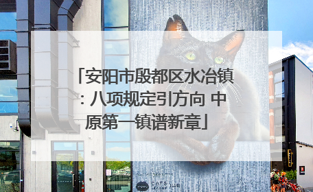 安阳市殷都区水冶镇：八项规定引方向 中原第一镇谱新章