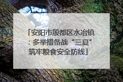 安阳市殷都区水冶镇：多举措备战“三夏” 筑牢粮食安全防线