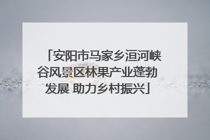 安阳市马家乡洹河峡谷风景区林果产业蓬勃发展 助力乡村振兴